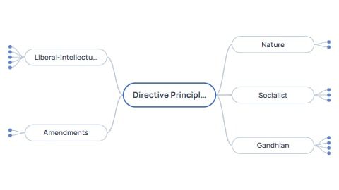 Directive Principles of State Policy